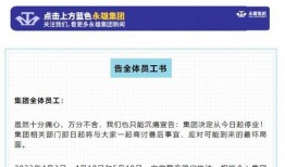 永雄公司员工爆料案件最新,揭开神秘案件背后真相
